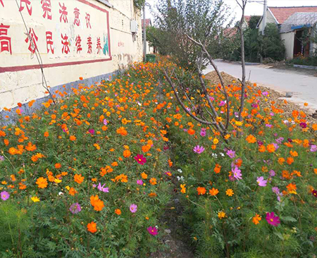 鄭州格?；?>
                                </div>
                               
                            </a>
                            <a href=