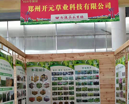【鄭州開元草業】鄢陵花木交易會，期待與你相見
