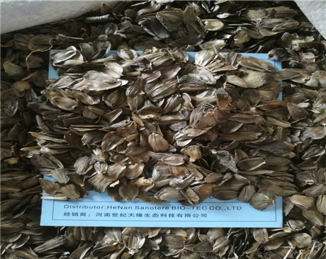 全國串葉松香草