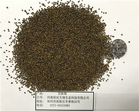 鄭州百脈根
