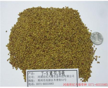 全國紫花苜蓿-藍月亮8級）