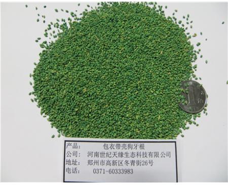 全國 包衣帶殼狗牙根