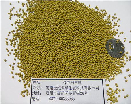 鄭州包衣白三葉