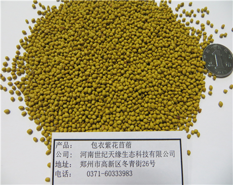 鄭州包衣紫花苜蓿