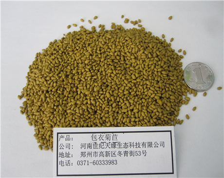 鄭州包衣菊苣