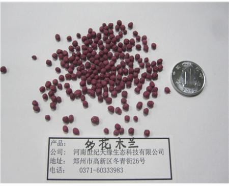 鄭州包衣多花木蘭
