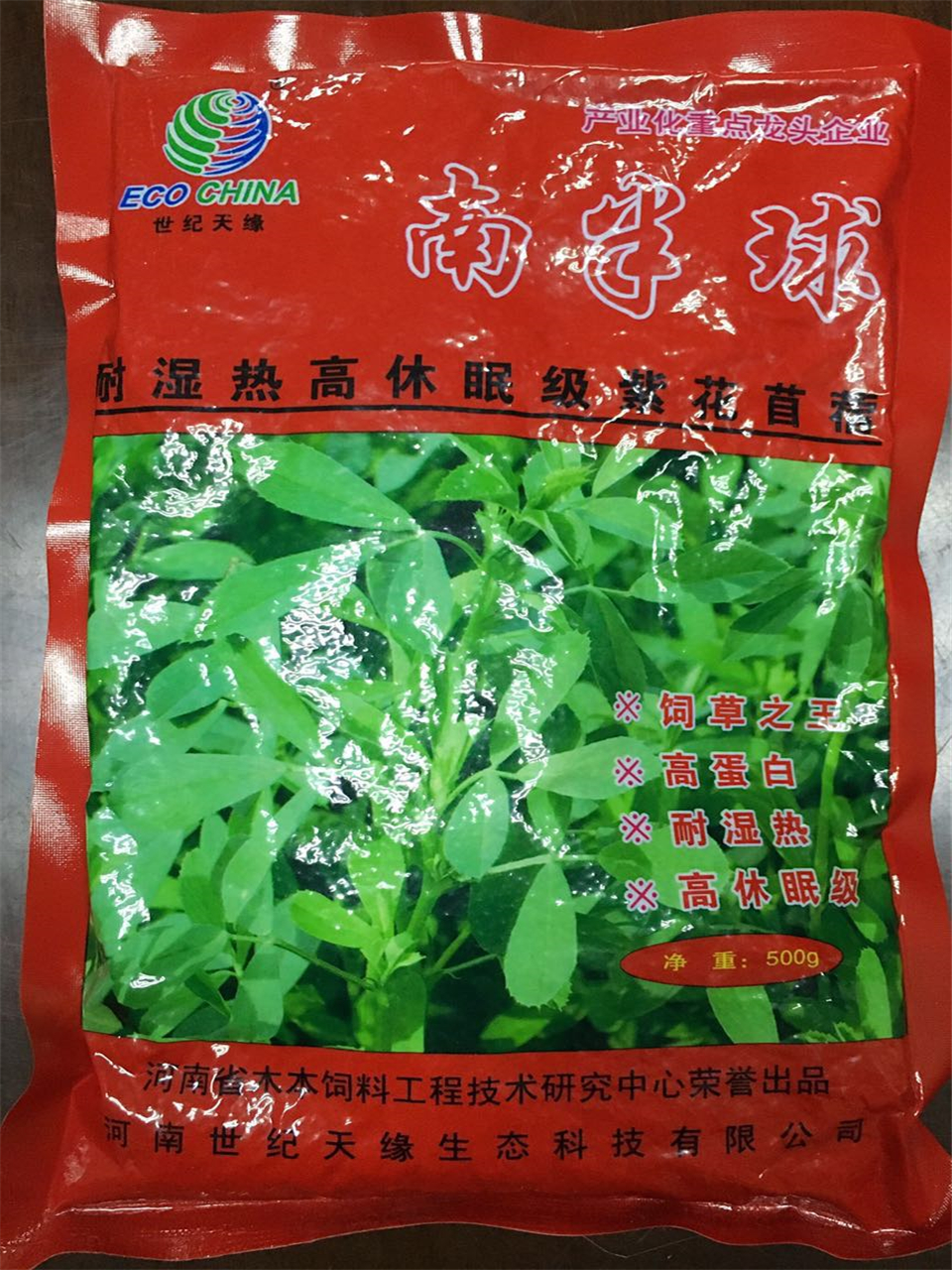 鄭州南方型紫花苜蓿