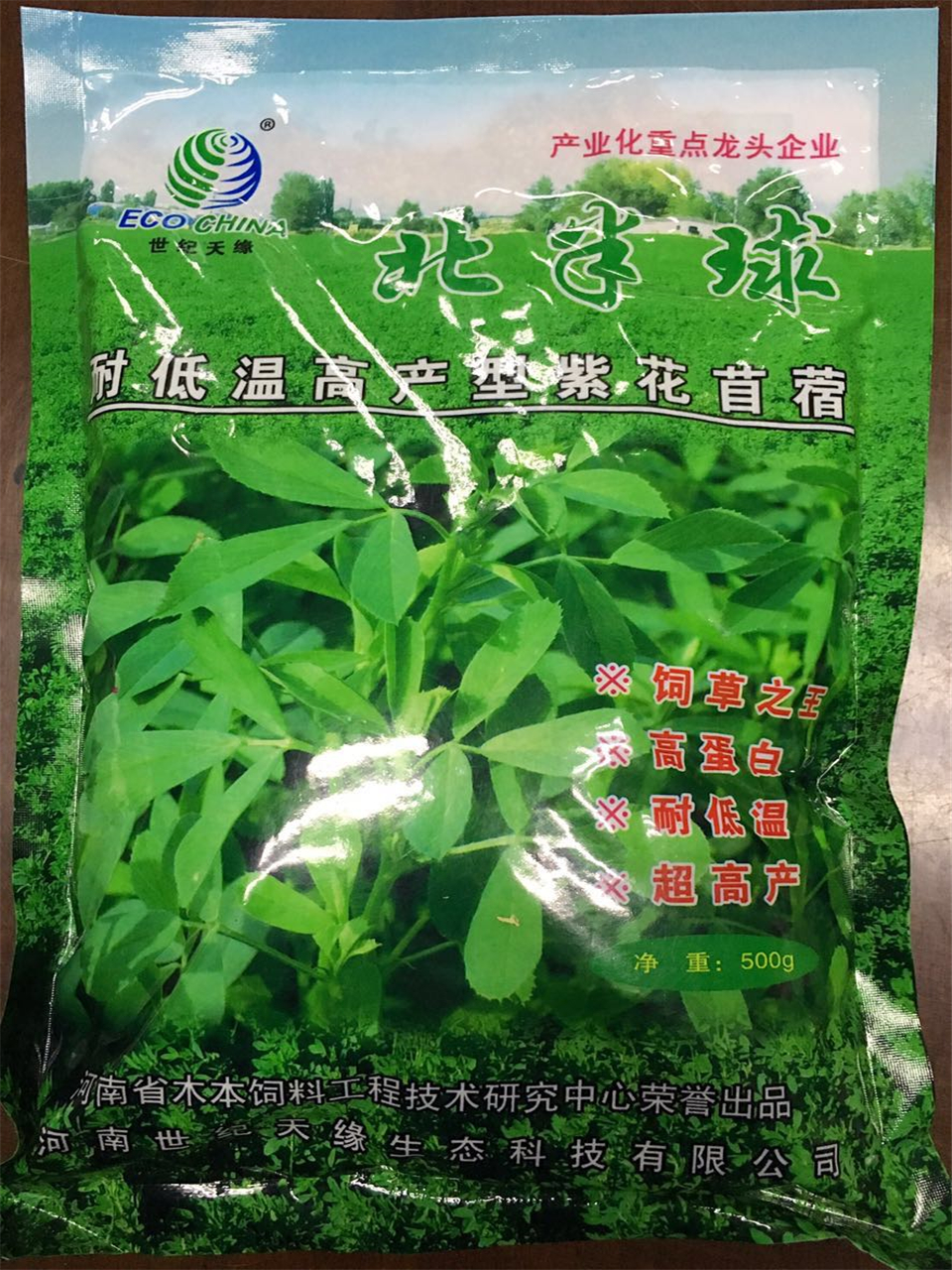 鄭州北方型紫花苜蓿