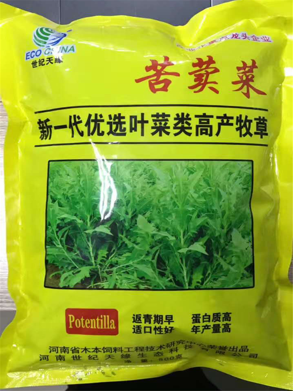 鄭州飼用苦荬菜