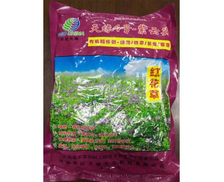 河南綠肥  紫云英