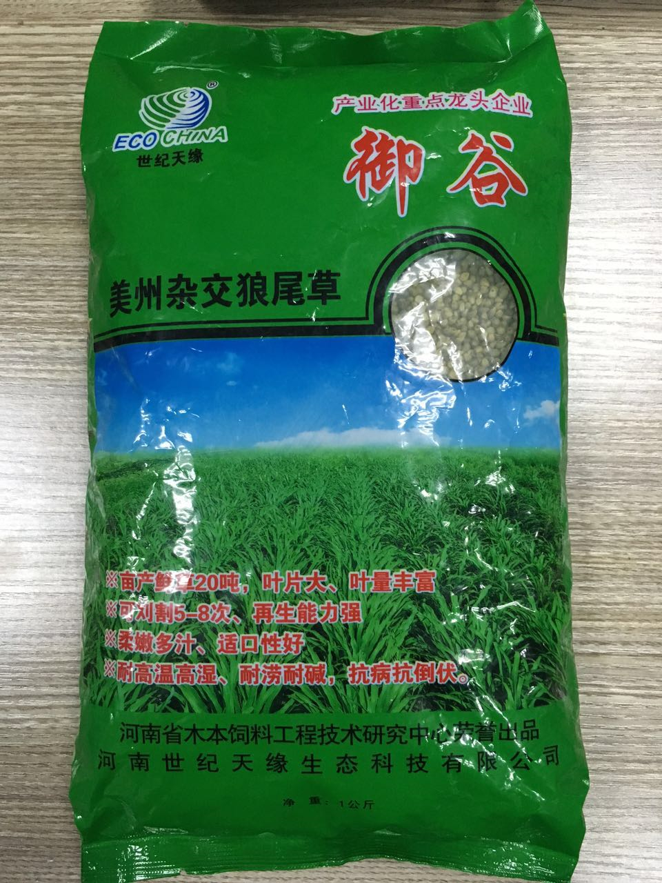 河南美洲雜交狼尾草—御谷