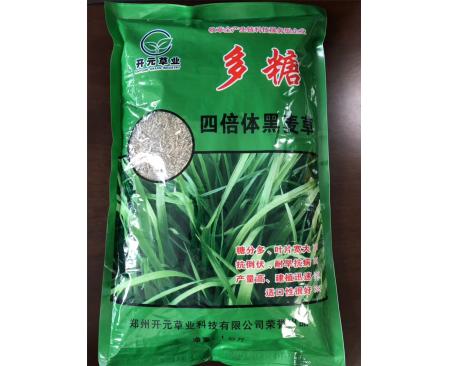 全國四倍體黑麥草多糖