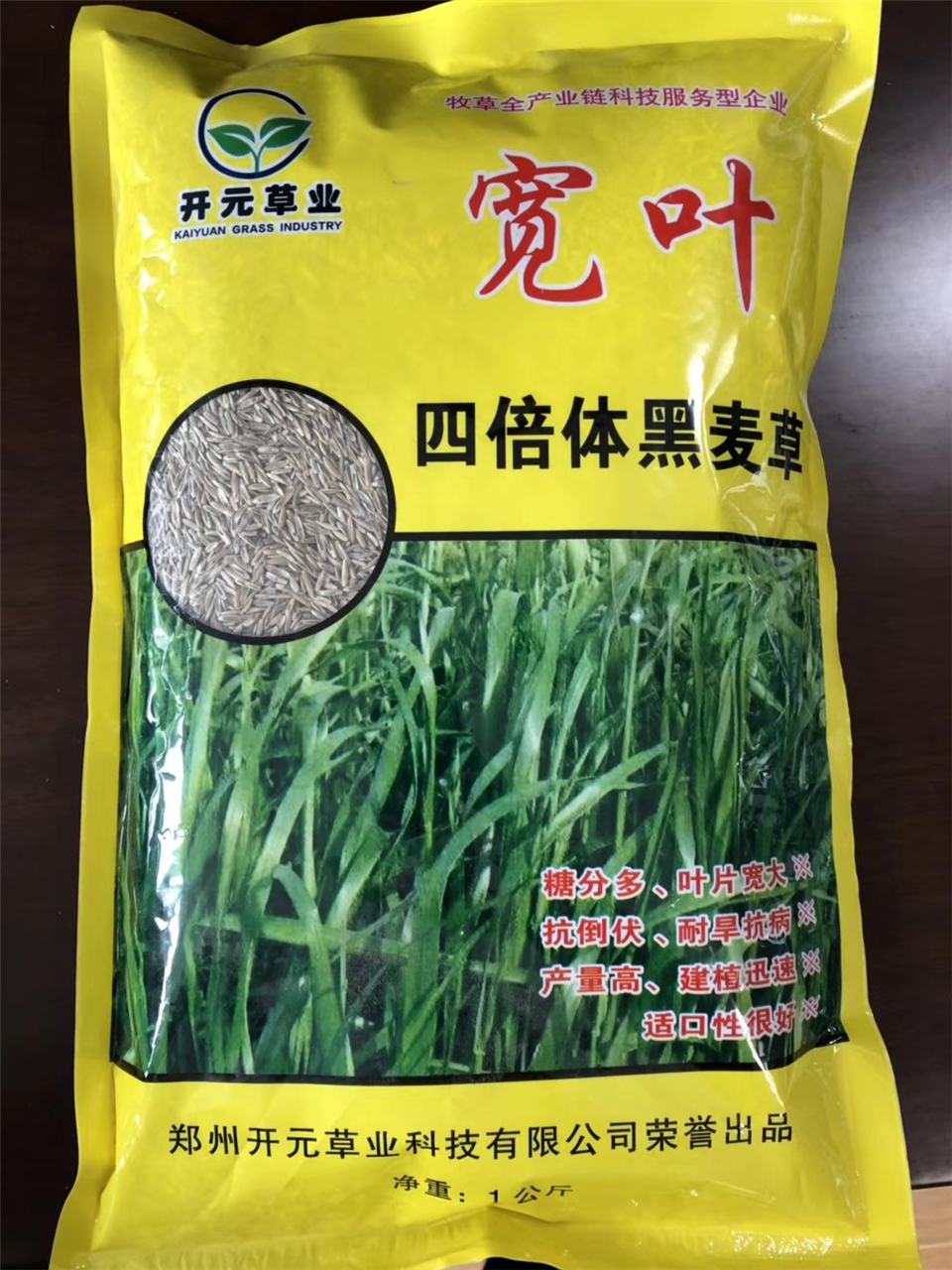 全國寬葉