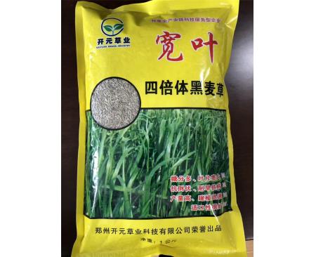 全國寬葉