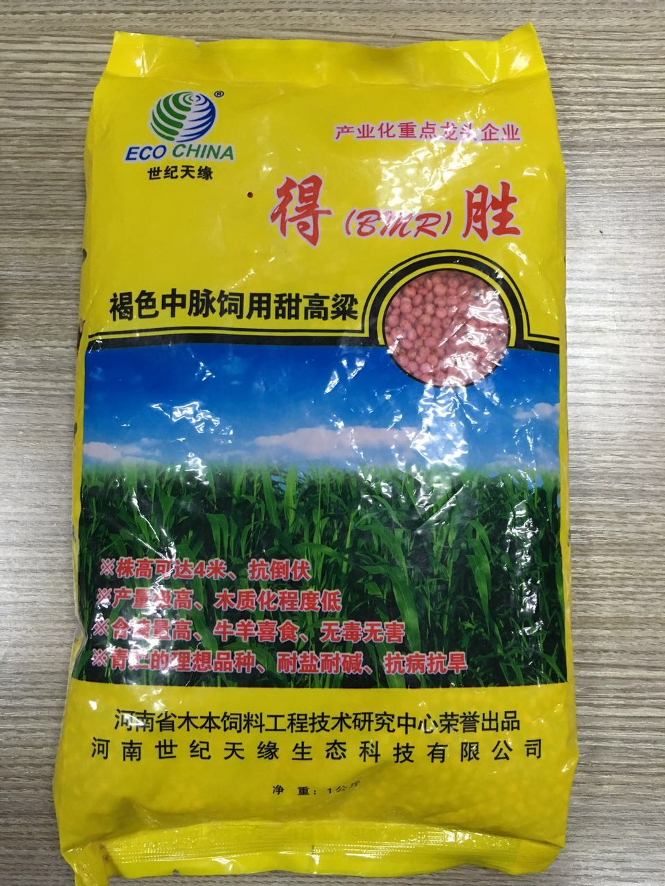 鄭州得勝飼用 甜高粱