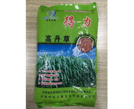 全國得力 高丹草