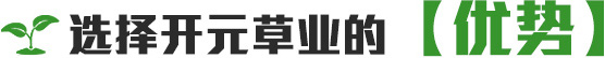 優勢標題圖片 優勢標題圖片